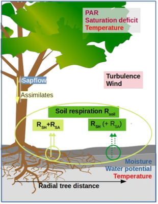 PhD position in ECOSENSE