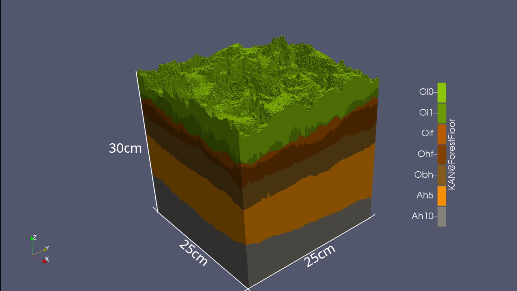 P5-3D-Darstellung-Humus-Bodenmonolith